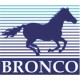 Bronco Models